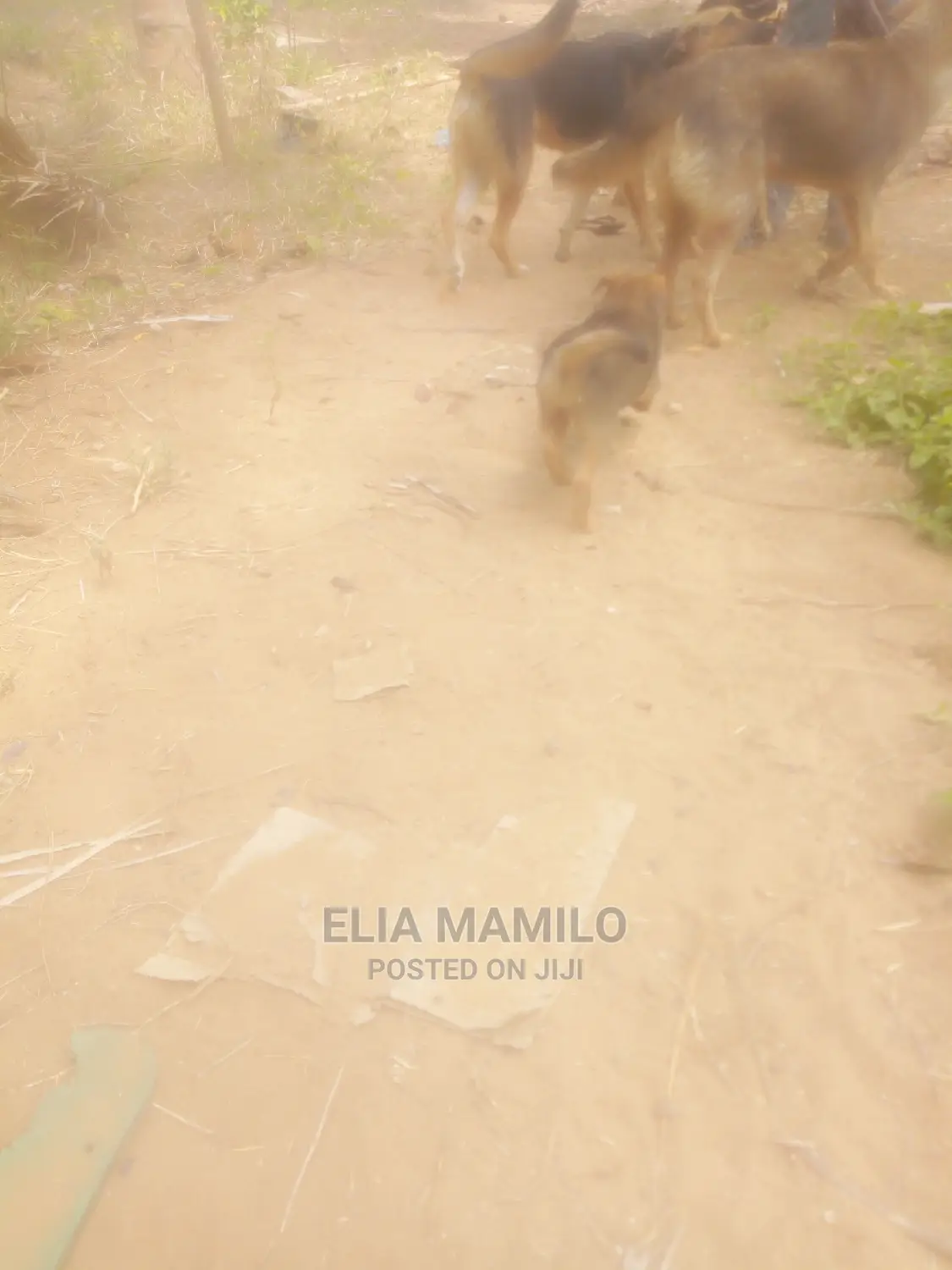 Beach Plot for Sale at Kigamboni Mjimwema
