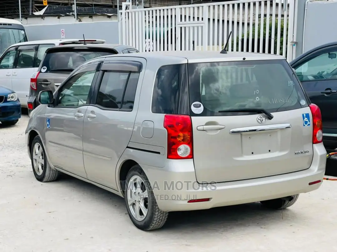Toyota Raum 2004 Gray