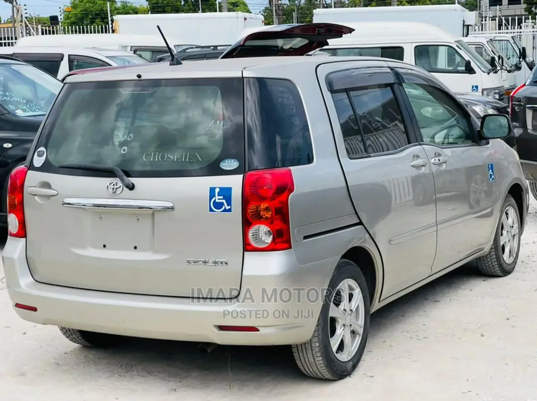Toyota Raum 2004 Gray