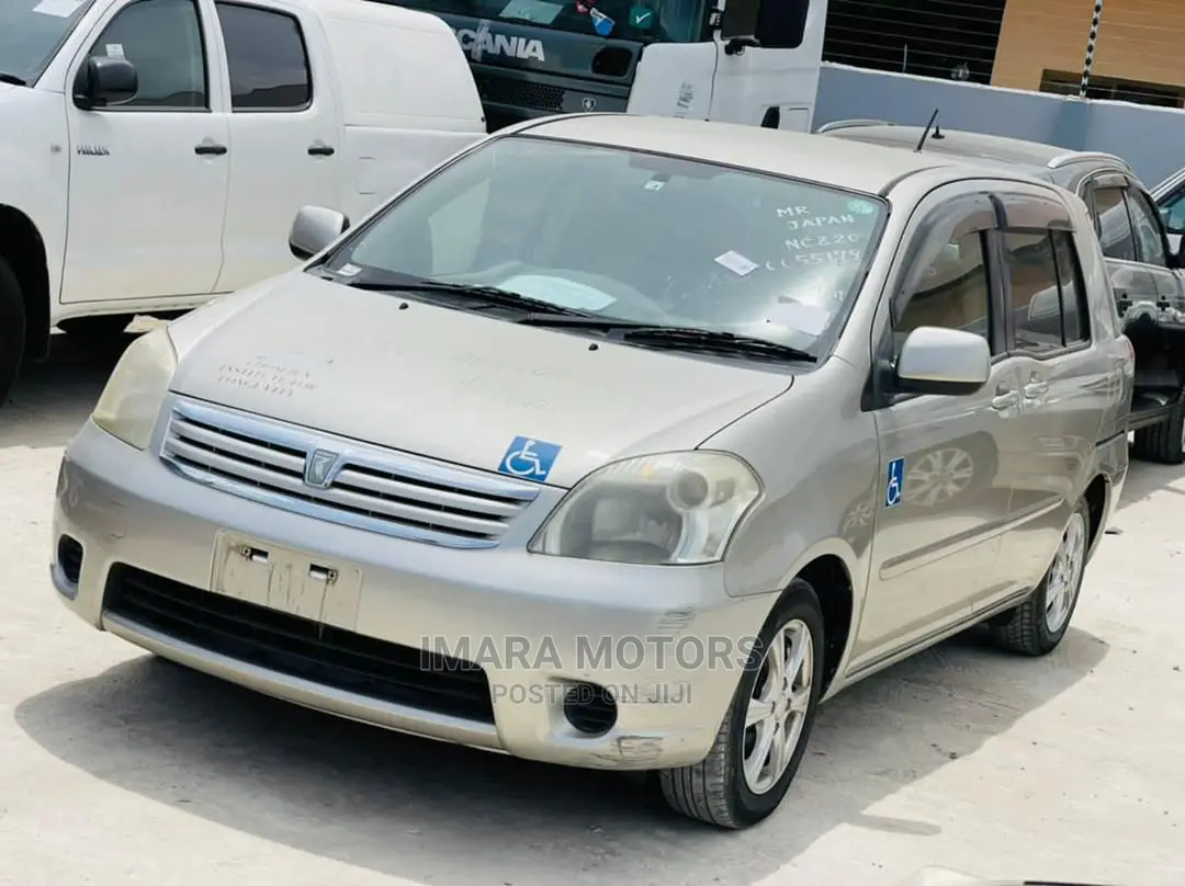 Toyota Raum 2004 Gray