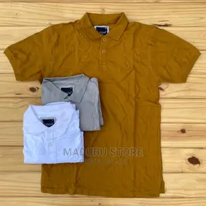 Fashion Colour T-Shirts