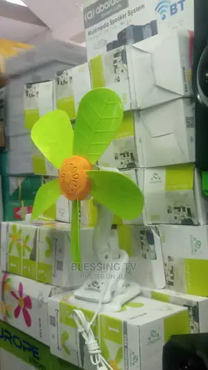 New Small Fan