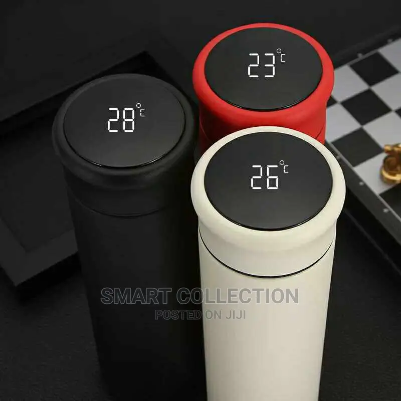 450ml Thermos Vacuum Flask With Filter Warm/Cold Water Mug
