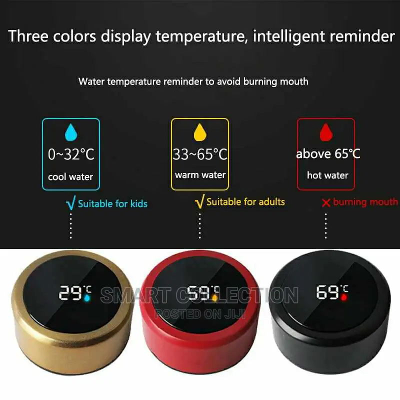 450ml Thermos Vacuum Flask With Filter Warm/Cold Water Mug