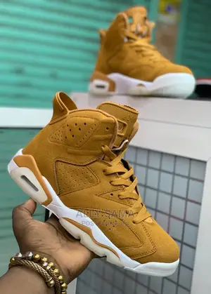 Air Jordan6