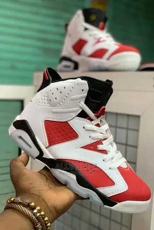 Air Jordan6