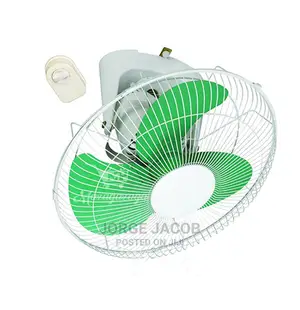 Wall Mounted Fan