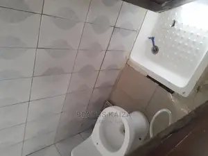 2bdrm Shared Apartment in Mikocheni A for rent
