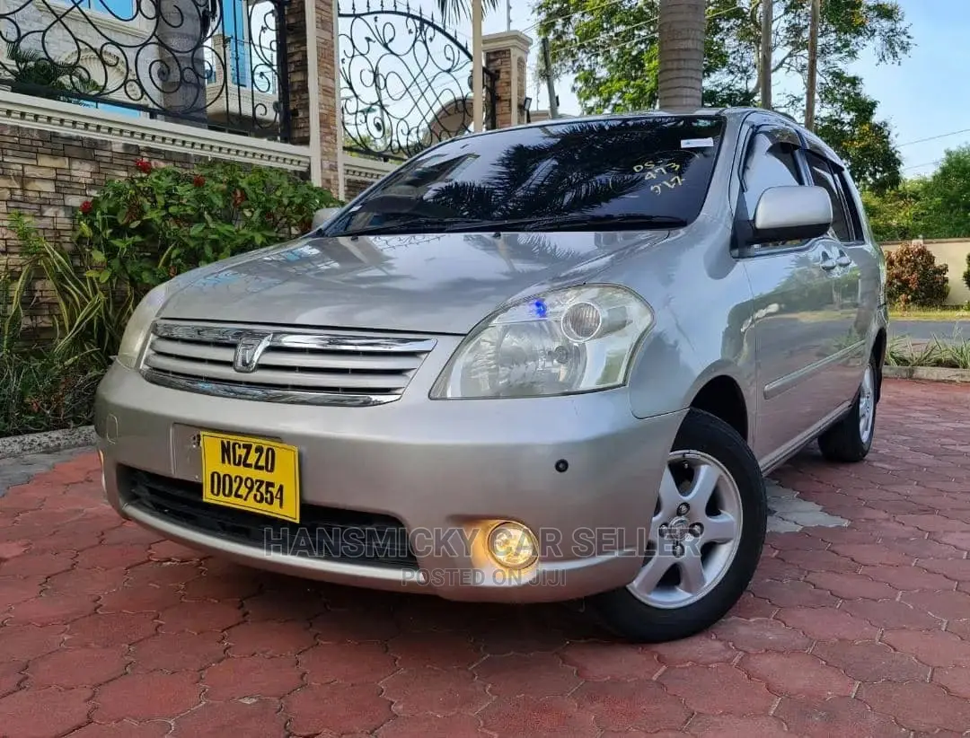 Toyota Raum 2003 Gray