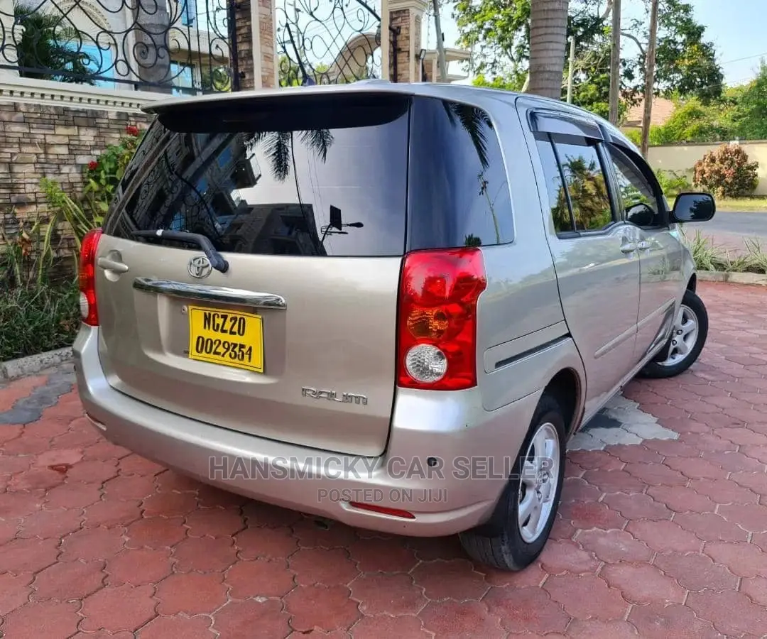 Toyota Raum 2003 Gray