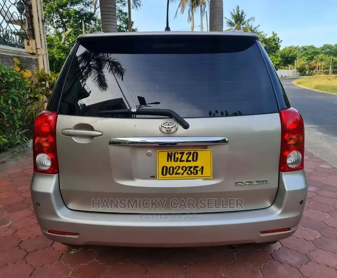 Toyota Raum 2003 Gray