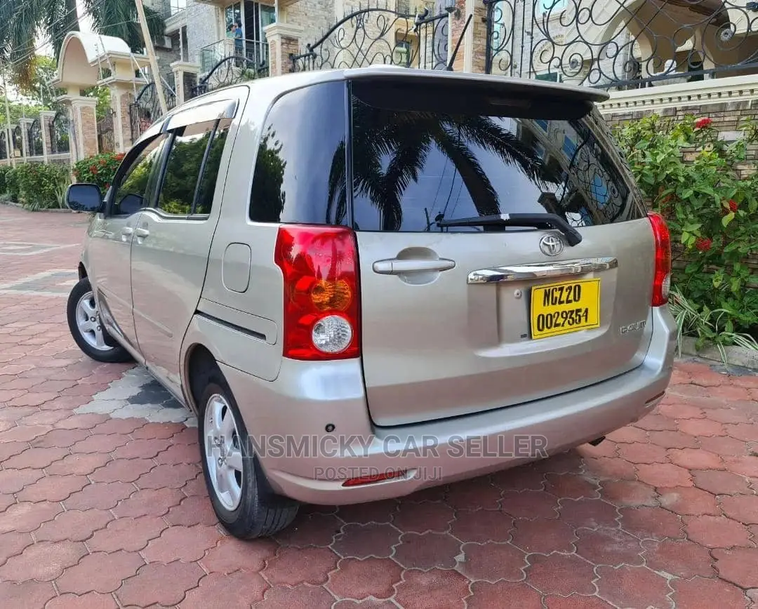 Toyota Raum 2003 Gray