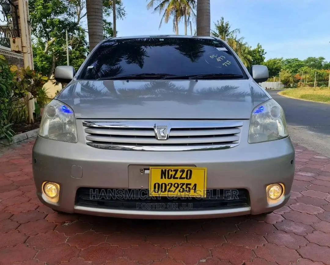 Toyota Raum 2003 Gray