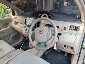 Toyota Raum 2003 Gray