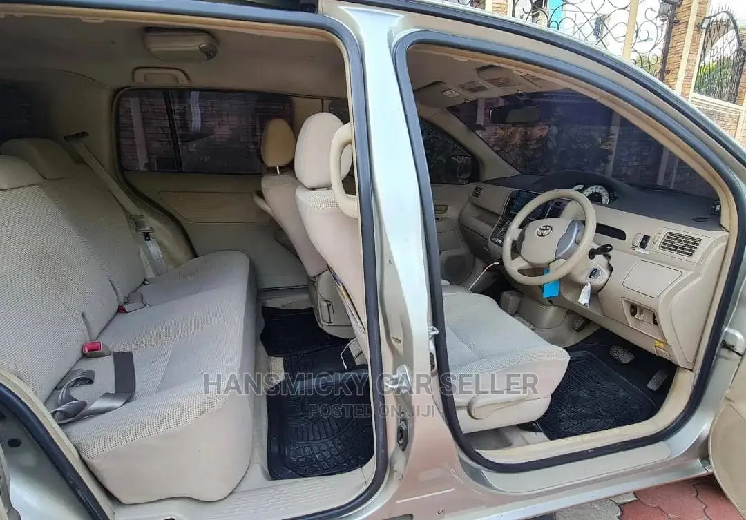 Toyota Raum 2003 Gray
