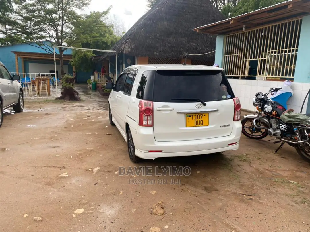 Toyota Raum 2009 Pearl