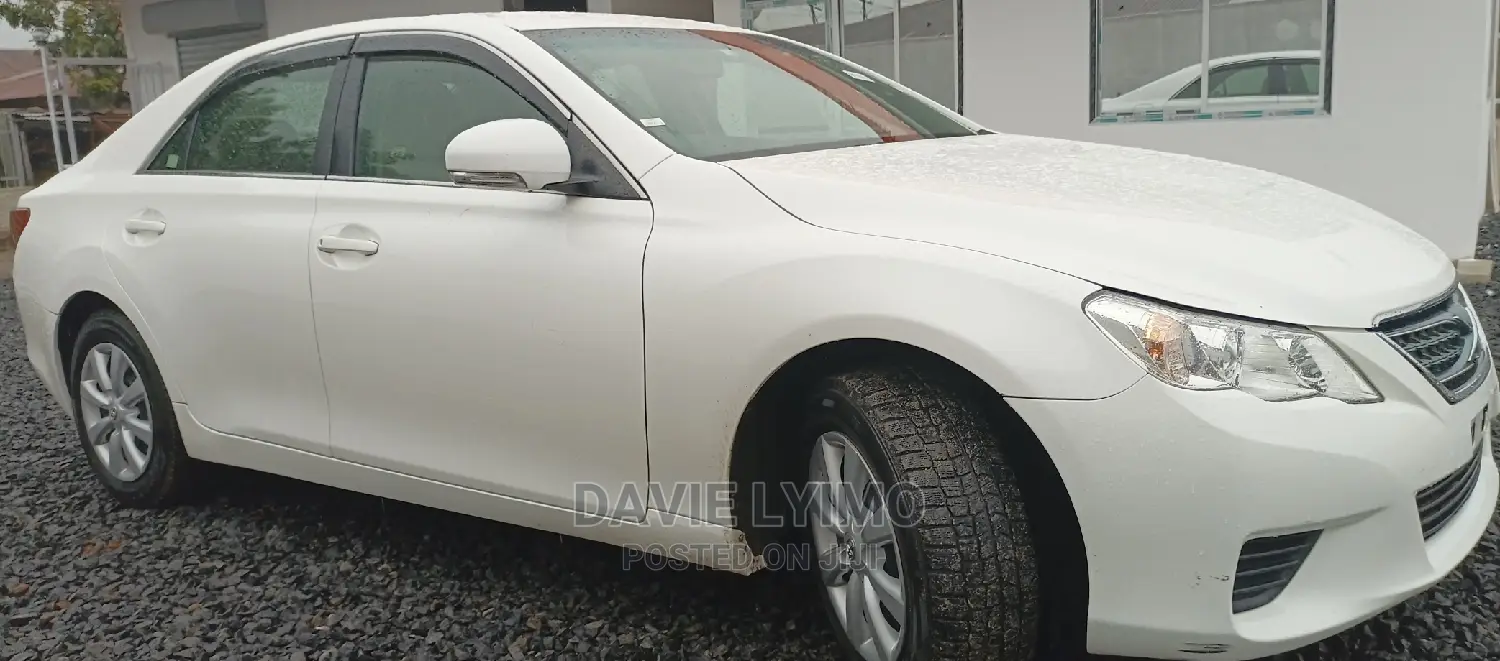 Toyota Mark X 2010 Pearl