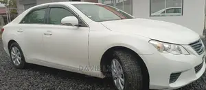 Toyota Mark X 2010 Pearl