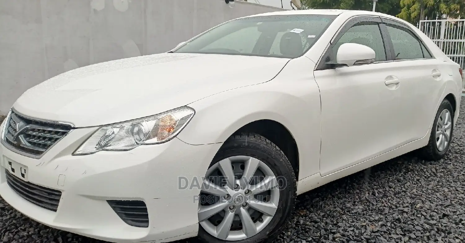 Toyota Mark X 2010 Pearl