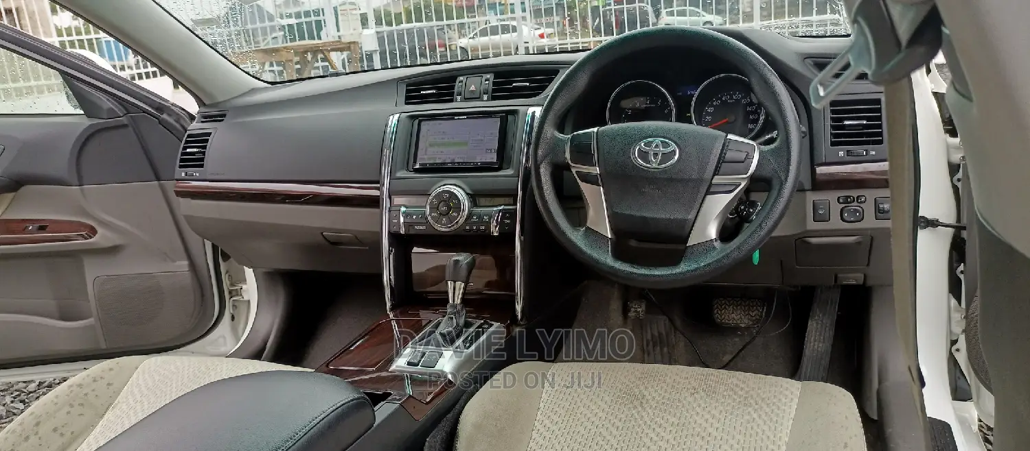 Toyota Mark X 2010 Pearl