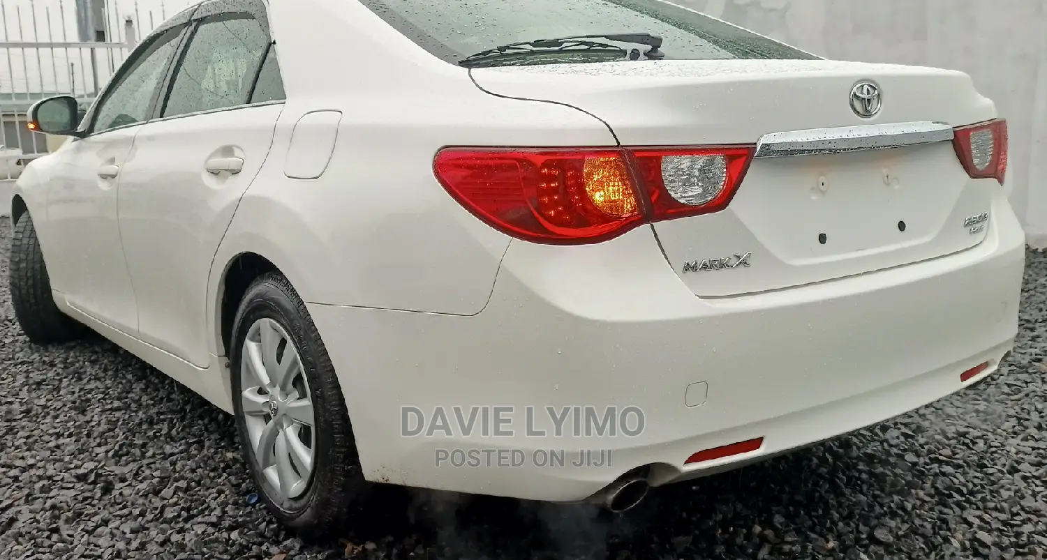 Toyota Mark X 2010 Pearl