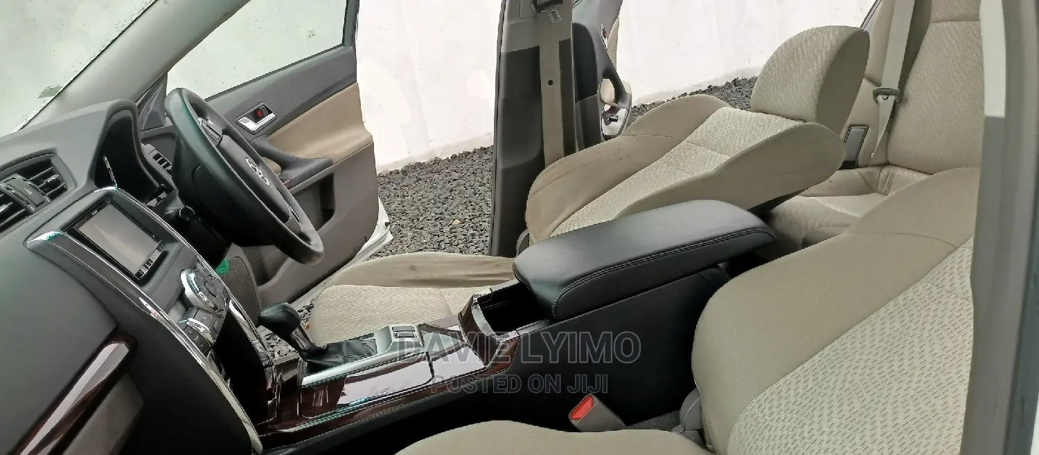 Toyota Mark X 2010 Pearl