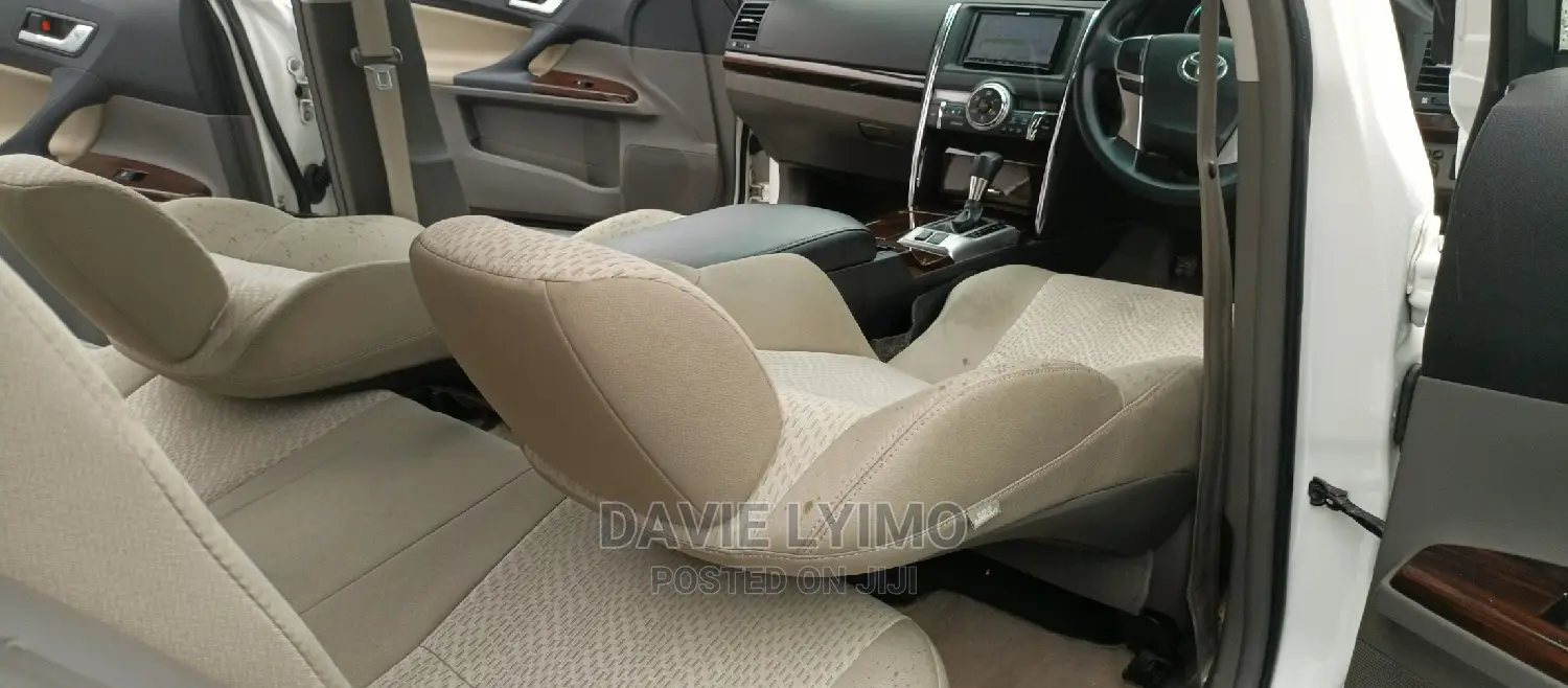 Toyota Mark X 2010 Pearl