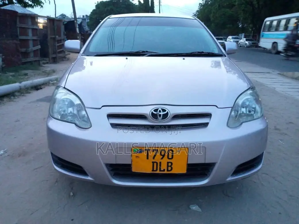Toyota Allex 2003 Silver