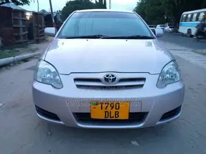 Toyota Allex 2003 Silver