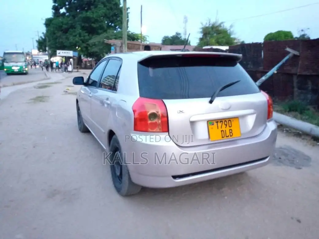 Toyota Allex 2003 Silver