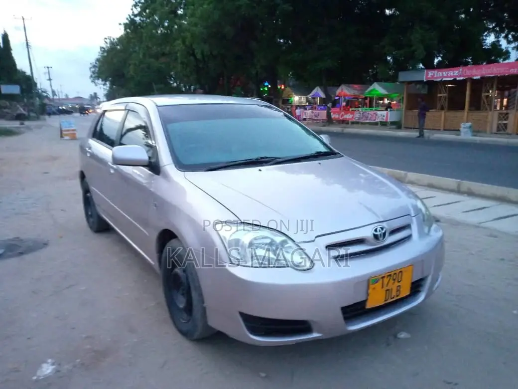 Toyota Allex 2003 Silver