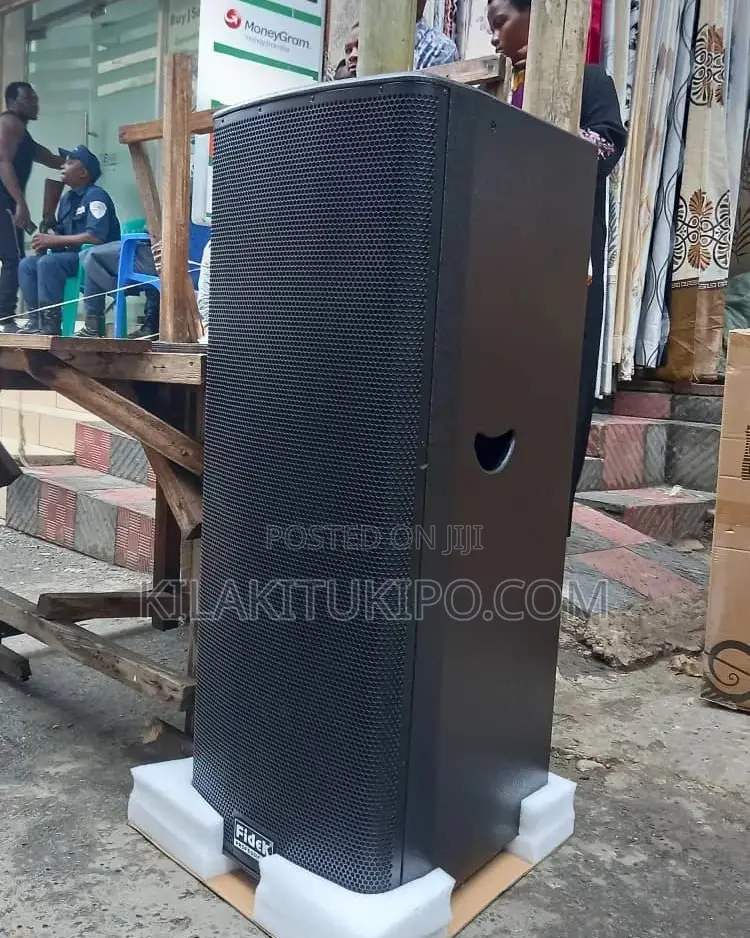 Fidek High Power Speaker System 215onc