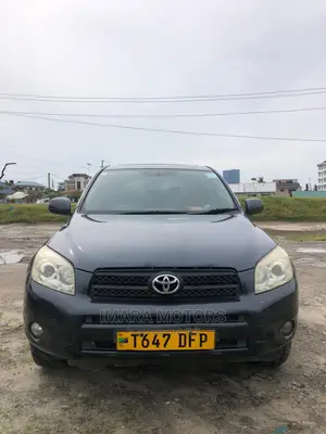 Toyota RAV4 2007 Gray