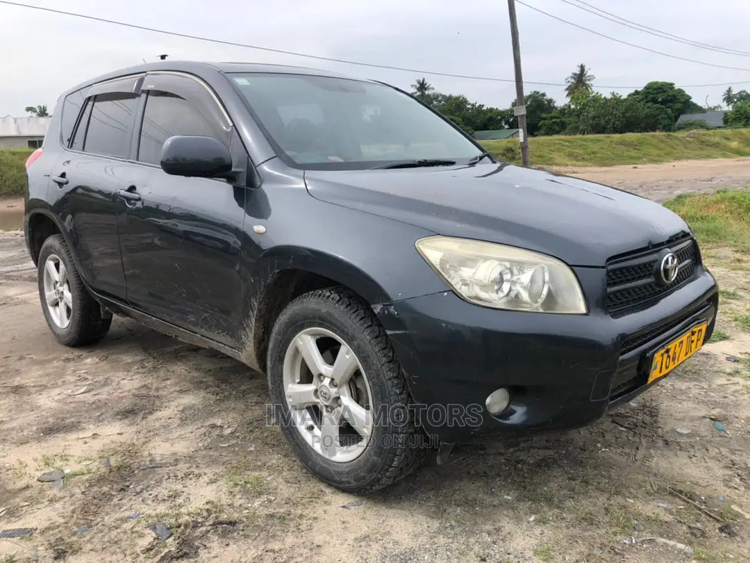 Toyota RAV4 2007 Gray