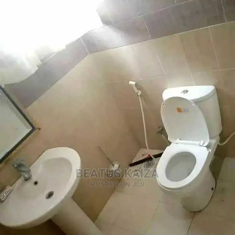 2bdrm Apartment in Mjimwema Kibugumo for rent