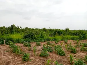 Kibaha Visiga Madafu