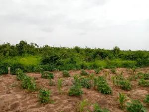 Kibaha Visiga Madafu