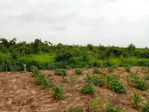 Kibaha Visiga Madafu
