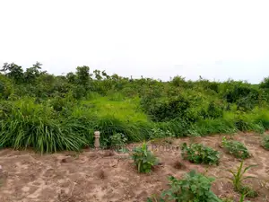 Kibaha Visiga Madafu