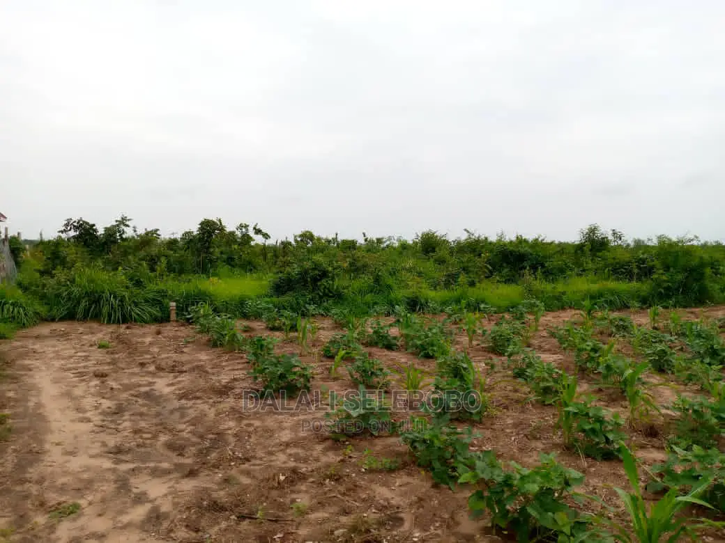 Kibaha Visiga Madafu