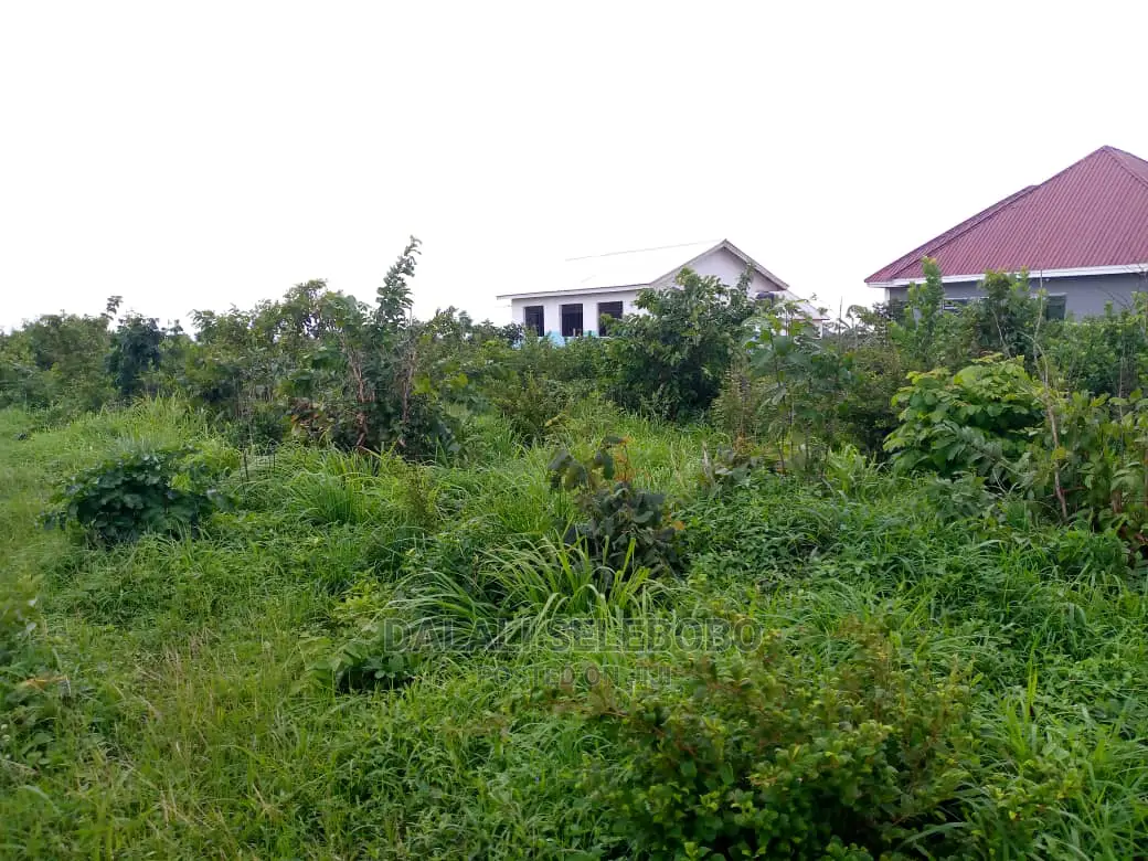 Kibaha Visiga Madafu