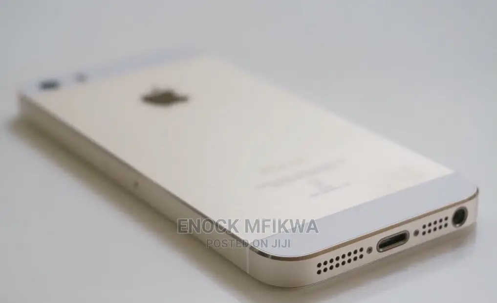 Apple iPhone 5s 16 GB Gray