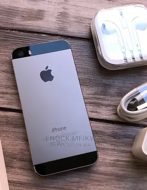 Apple iPhone 5s 16 GB Gray