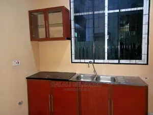 1bdrm Duplex in Mwenge, Kinondoni for Rent