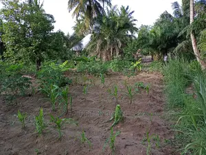 Kiwanja Tegeta A