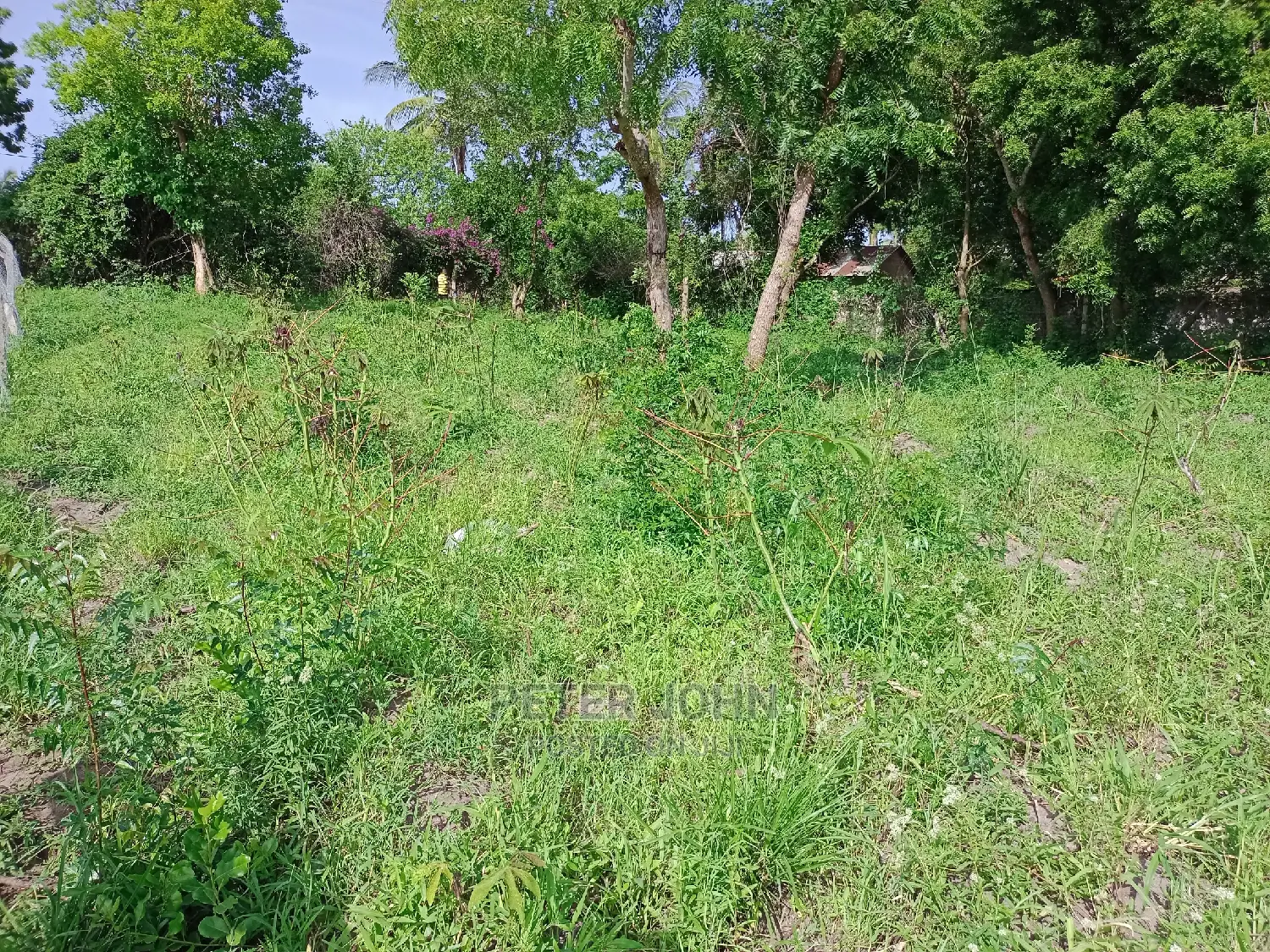Kiwanja Tambarare