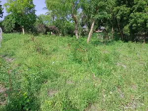 Kiwanja Tambarare
