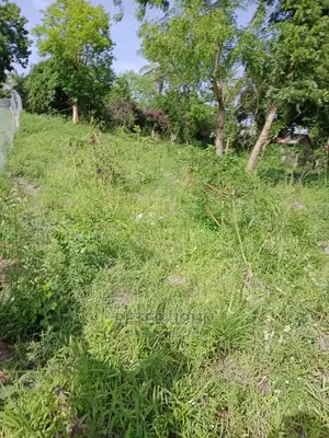 Kiwanja Tambarare
