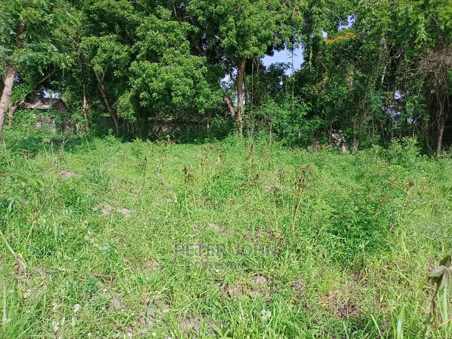 Kiwanja Tambarare