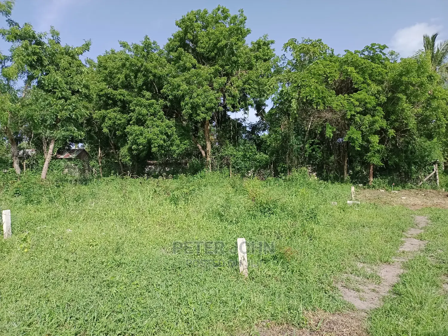 Kiwanja Tambarare